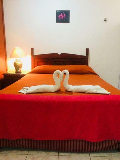 Hotel Maria'S Nicte Ha Progreso  Luaran gambar